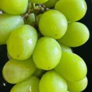 ヒメ日記 2025/09/24 00:56 投稿 さち 俺のジュニア