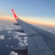 ヒメ日記 2025/09/30 11:40 投稿 さち 俺のジュニア