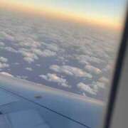 ヒメ日記 2025/12/12 11:36 投稿 さち 俺のジュニア