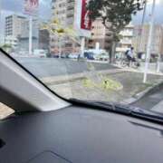 ヒメ日記 2025/12/23 08:06 投稿 さち 俺のジュニア