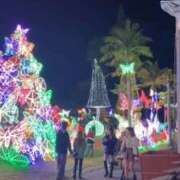 ヒメ日記 2025/12/25 18:56 投稿 さち 俺のジュニア