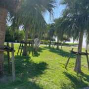 ヒメ日記 2026/02/17 23:46 投稿 さち 俺のジュニア