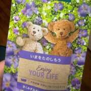 ヒメ日記 2026/02/18 23:46 投稿 さち 俺のジュニア