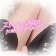 ヒメ日記 2025/04/16 14:01 投稿 れい 館山secret