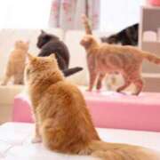 ヒメ日記 2025/04/15 18:44 投稿 えりな 11チャンネル