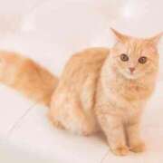 ヒメ日記 2025/04/16 08:35 投稿 えりな 11チャンネル