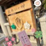 ヒメ日記 2025/02/02 22:19 投稿 こころ THE ESUTE HOUSE 柴田