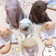 ヒメ日記 2025/02/03 20:09 投稿 こころ THE ESUTE HOUSE 柴田