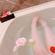 ヒメ日記 2025/03/16 15:11 投稿 こころ THE ESUTE HOUSE 柴田