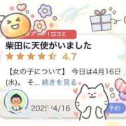 ヒメ日記 2025/04/18 10:19 投稿 こころ THE ESUTE HOUSE 柴田