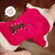 ヒメ日記 2025/12/26 12:16 投稿 こころ THE ESUTE HOUSE 柴田