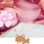 ヒメ日記 2026/02/07 00:24 投稿 小池　なな 三丁目の奥様（東京ハレ系）