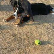 ヒメ日記 2025/01/24 19:00 投稿 ことり 広島痴女性感フェチ倶楽部