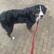 ヒメ日記 2025/01/25 12:48 投稿 ことり 広島痴女性感フェチ倶楽部