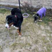 ヒメ日記 2025/01/27 17:22 投稿 ことり 広島痴女性感フェチ倶楽部