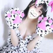 ヒメ日記 2026/03/11 18:14 投稿 ももなん バカンス学園　谷九校