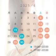 ヒメ日記 2025/04/03 00:35 投稿 ひかる あとりえ(ATELIER)