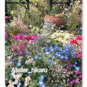 ヒメ日記 2025/04/24 17:09 投稿 ひかる あとりえ(ATELIER)
