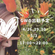 ヒメ日記 2025/04/25 12:09 投稿 ひかる あとりえ(ATELIER)