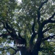 ヒメ日記 2025/08/23 12:30 投稿 ひかる あとりえ(ATELIER)