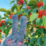 ヒメ日記 2026/02/28 12:30 投稿 ひかる あとりえ(ATELIER)