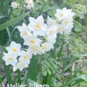 ヒメ日記 2026/03/28 12:31 投稿 ひかる あとりえ(ATELIER)