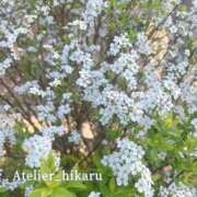 ヒメ日記 2026/04/11 12:31 投稿 ひかる あとりえ(ATELIER)