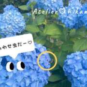 ヒメ日記 2026/05/30 12:31 投稿 ひかる あとりえ(ATELIER)