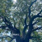ヒメ日記 2026/08/01 12:31 投稿 ひかる あとりえ(ATELIER)