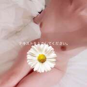 ヒメ日記 2025/05/30 18:03 投稿 セラ 姫路ラビット