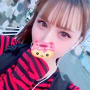 ヒメ日記 2025/05/31 19:32 投稿 セラ 姫路ラビット