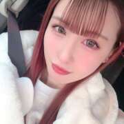 ヒメ日記 2026/01/12 17:12 投稿 セラ 姫路ラビット