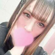 セラ 19時半から居ます 姫路ラビット