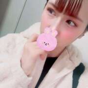 セラ 19時半からいます 姫路ラビット