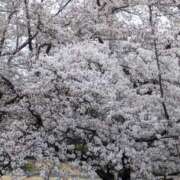 ヒメ日記 2025/03/08 19:38 投稿 白川れんか 大人のエッチなエステ