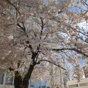 ヒメ日記 2025/04/29 21:08 投稿 白川れんか 大人のエッチなエステ