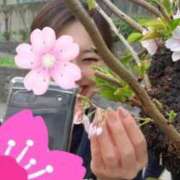 ヒメ日記 2026/03/26 01:06 投稿 白川れんか 大人のエッチなエステ