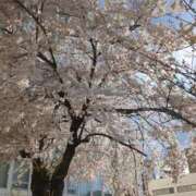 ヒメ日記 2026/05/07 04:45 投稿 白川れんか 大人のエッチなエステ