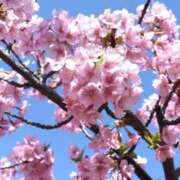 ヒメ日記 2025/04/16 10:49 投稿 比嘉～HIGA～ BBW 西川口店