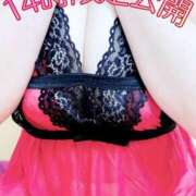 ヒメ日記 2025/04/12 12:03 投稿 ここあ 横浜風俗　寝取られたいオンナ達…生