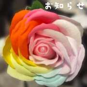 ヒメ日記 2025/05/14 18:00 投稿 ここあ 横浜風俗　寝取られたいオンナ達…生