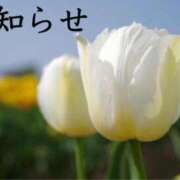 ヒメ日記 2025/05/15 18:01 投稿 ここあ 横浜風俗　寝取られたいオンナ達…生