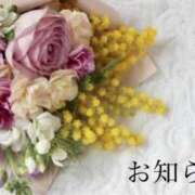 ヒメ日記 2025/05/24 20:02 投稿 ここあ 横浜風俗　寝取られたいオンナ達…生