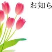 ヒメ日記 2025/05/25 21:03 投稿 ここあ 横浜風俗　寝取られたいオンナ達…生