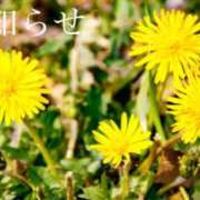 ヒメ日記 2025/05/26 18:02 投稿 ここあ 横浜風俗　寝取られたいオンナ達…生