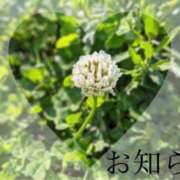 ヒメ日記 2025/05/28 12:01 投稿 ここあ 横浜風俗　寝取られたいオンナ達…生