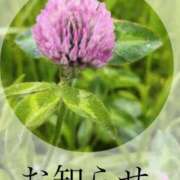 ヒメ日記 2025/05/29 22:30 投稿 ここあ 横浜風俗　寝取られたいオンナ達…生