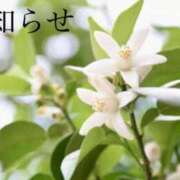 ヒメ日記 2025/05/30 12:01 投稿 ここあ 横浜風俗　寝取られたいオンナ達…生