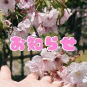 ヒメ日記 2025/05/31 11:47 投稿 ここあ 横浜風俗　寝取られたいオンナ達…生