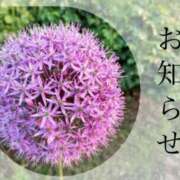 ヒメ日記 2025/05/31 12:00 投稿 ここあ 横浜風俗　寝取られたいオンナ達…生